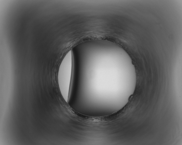 X0000088360624200705220734