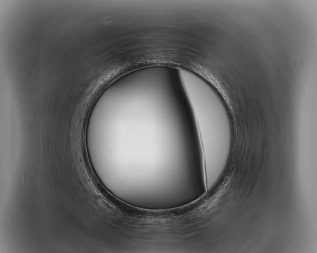 X0000088360625200705220733