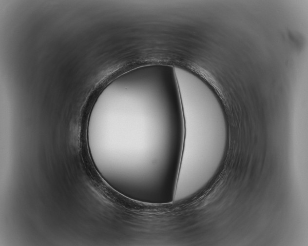 X0000088360627200705220733