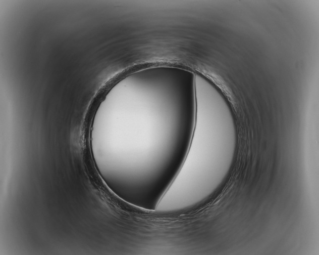 X0000088360628200705220733