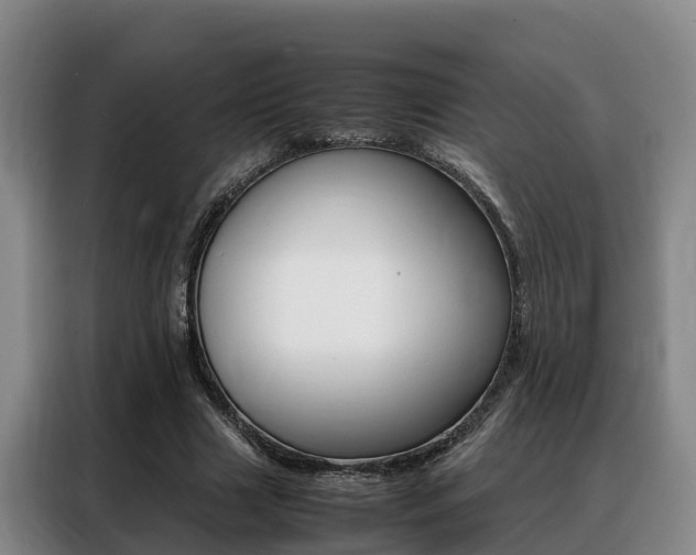 X0000088360633200705220733
