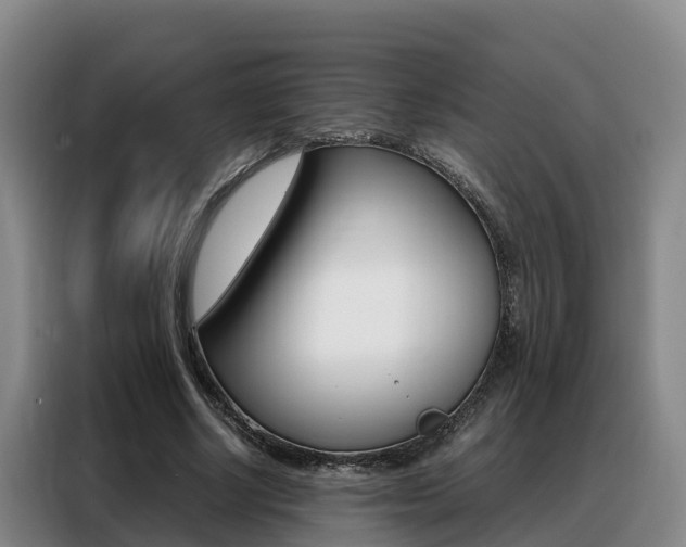 X0000088360634200705220733