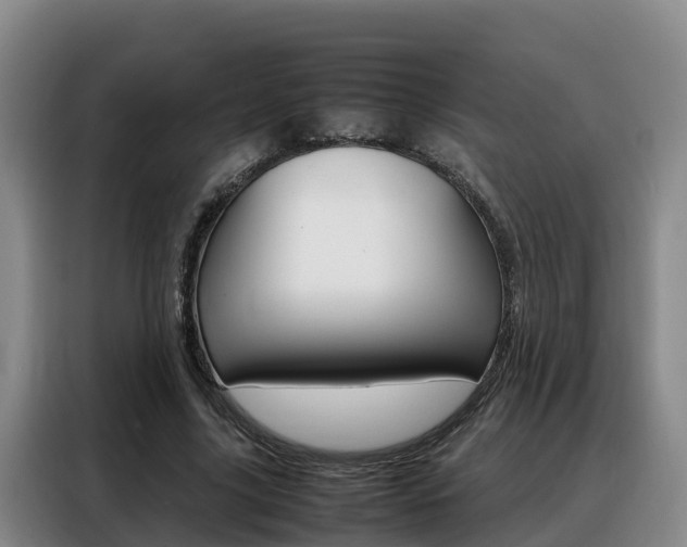 X0000088360635200705220733
