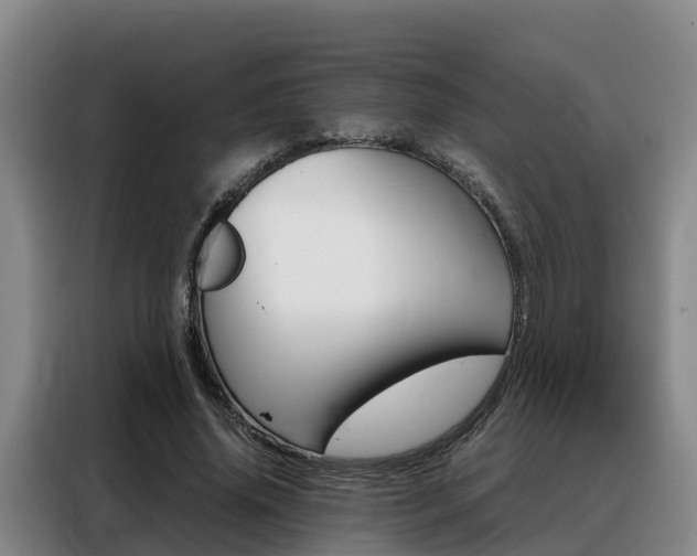 X0000088360636200705220733