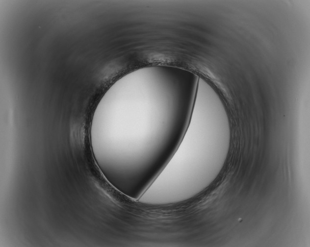 X0000088360637200705220733