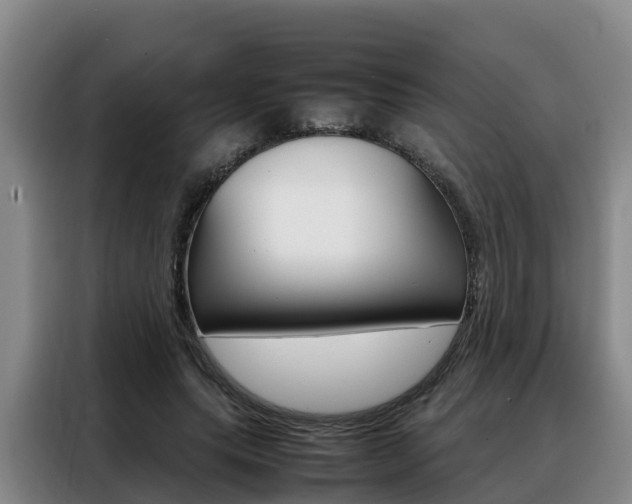 X0000088360639200705220734