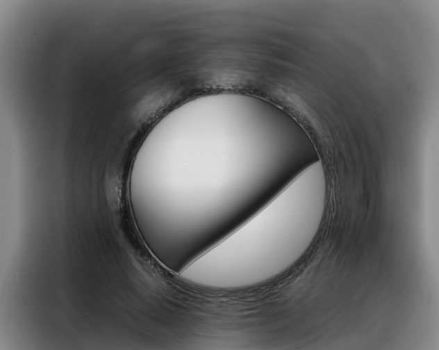 X0000088360640200705220734