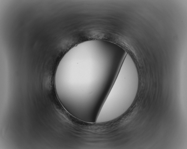 X0000088360641200705220734