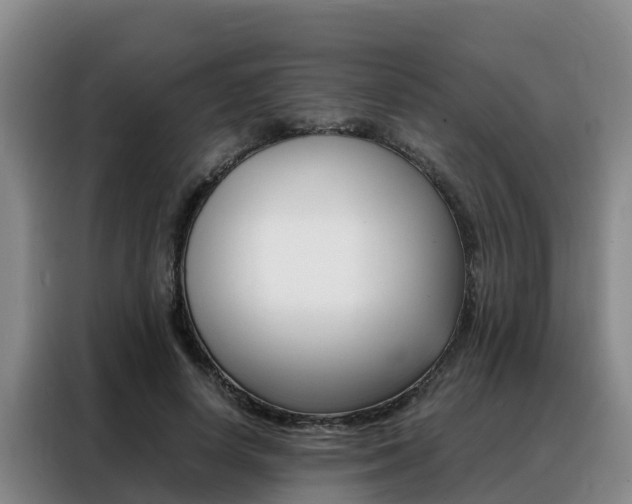 X0000088360642200705220734