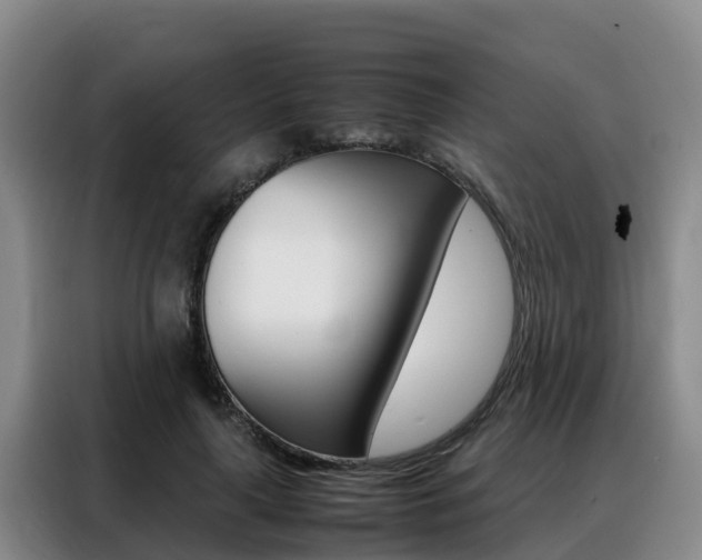 X0000088360643200705220734