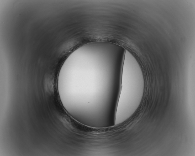 X0000088360644200705220734