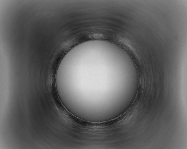 X0000088360645200705220734
