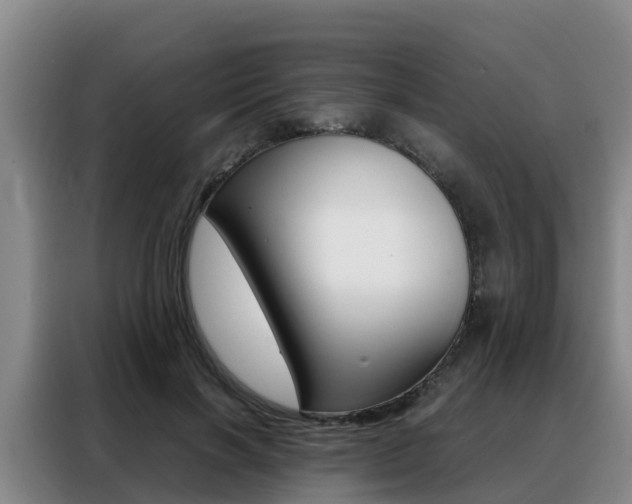 X0000088360646200705220734