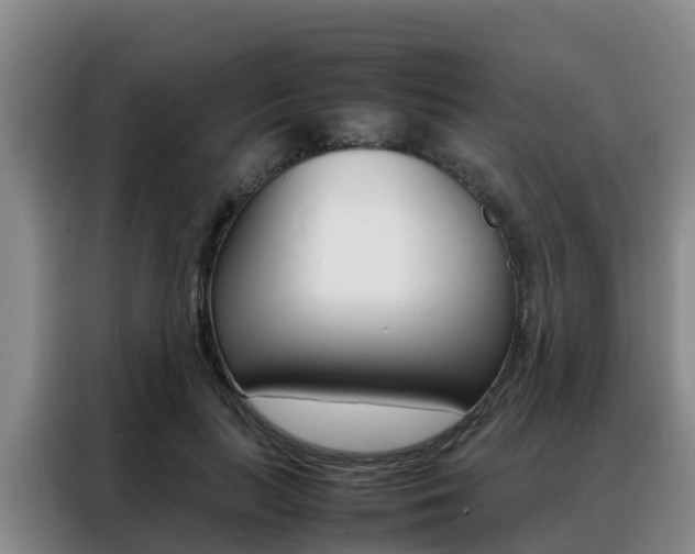 X0000088360647200705220734