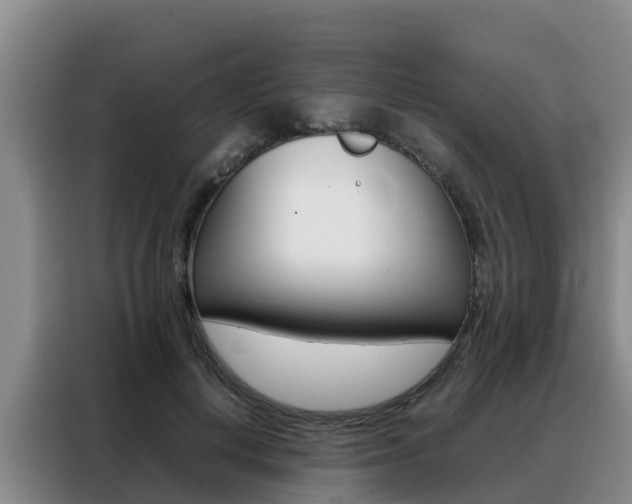 X0000088360648200705220734