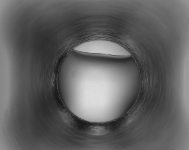 X0000088360649200705220734