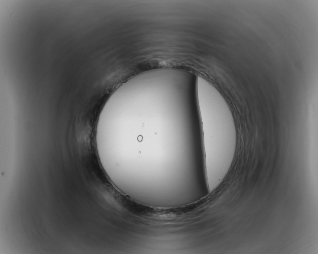X0000088360650200705220734