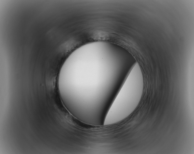 X0000088360652200705220734