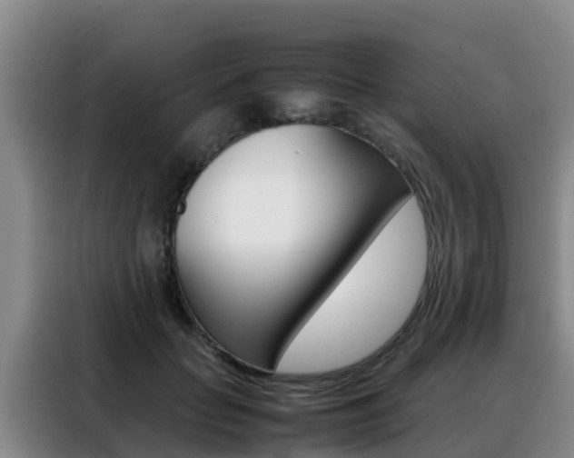 X0000088360653200705220734