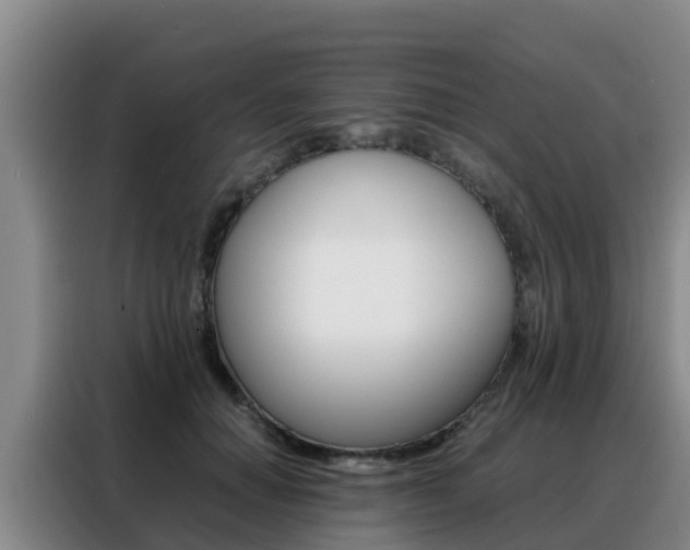 X0000088360654200705220734