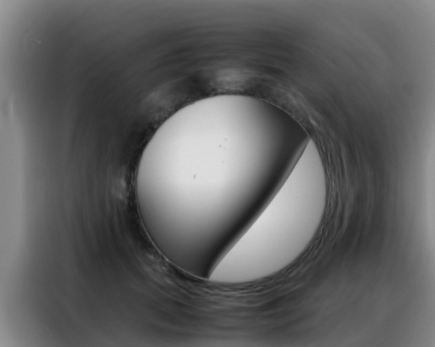 X0000088360655200705220734