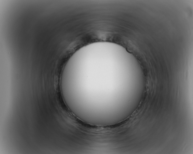 X0000088360656200705220734