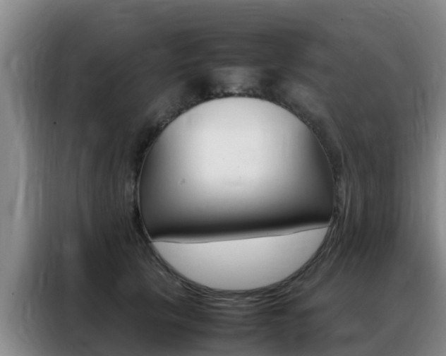 X0000088360657200705220734