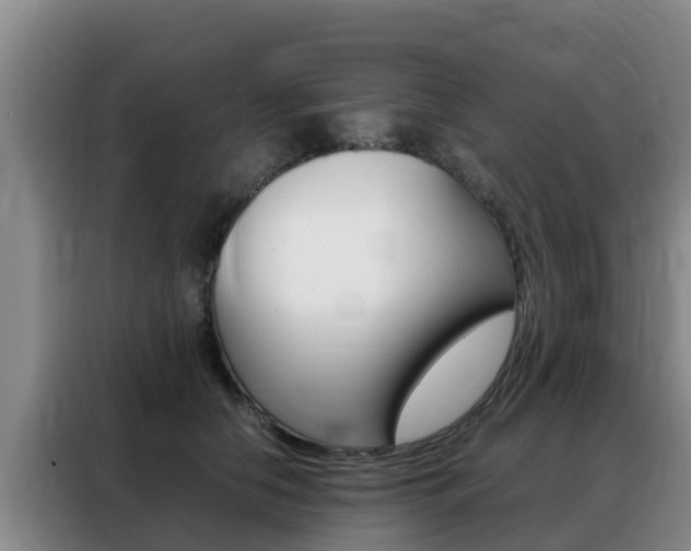 X0000088360658200705220734