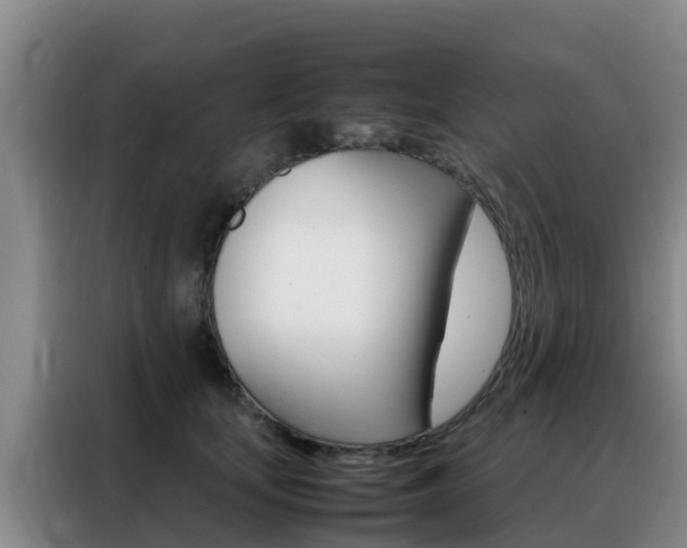 X0000088360659200705220734