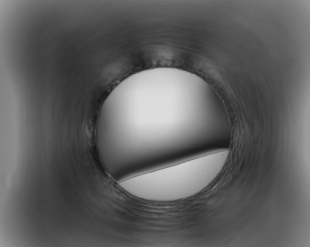 X0000088360661200705220734