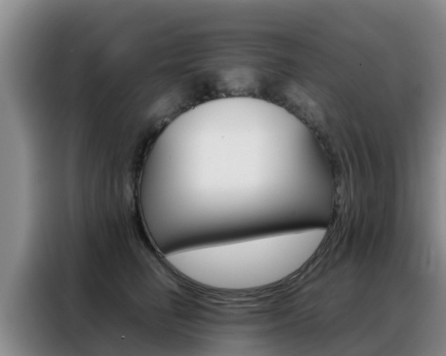 X0000088360662200705220734