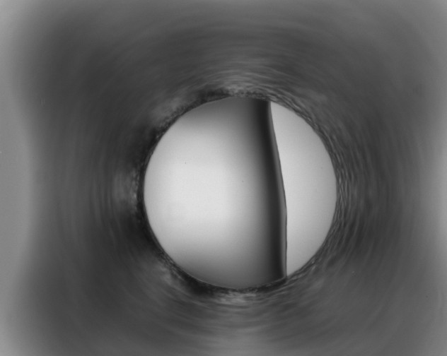 X0000088360664200705220734