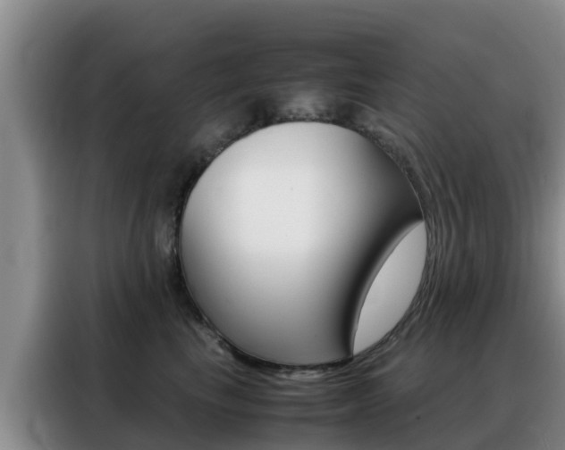 X0000088360665200705220734