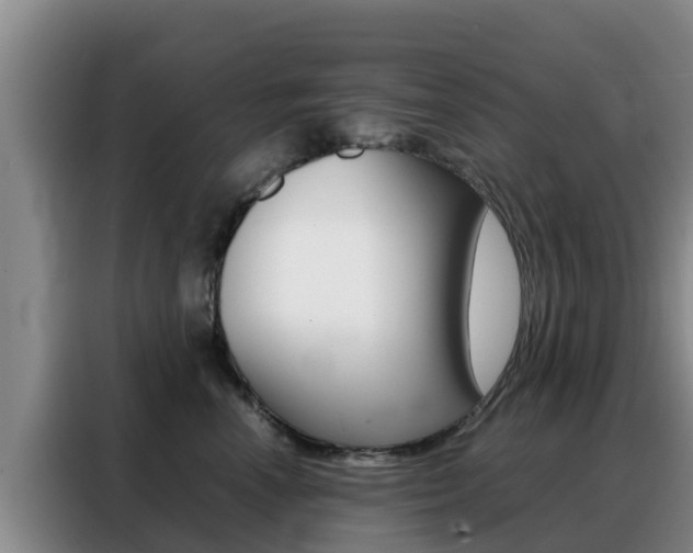 X0000088360666200705220734