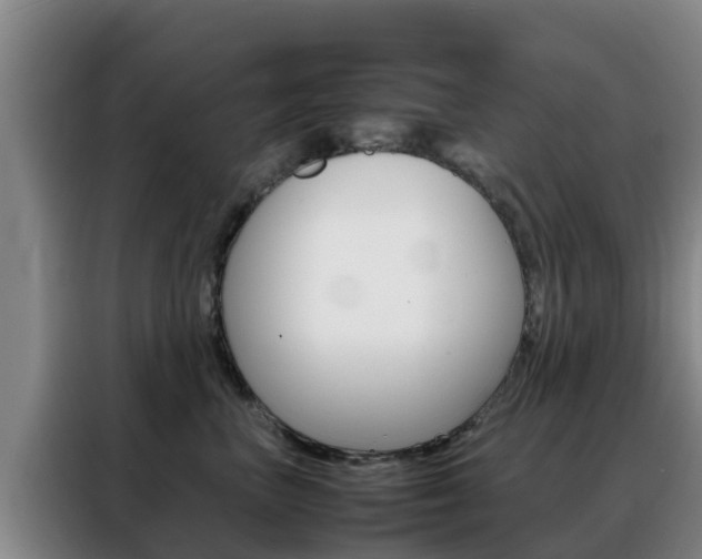 X0000088360667200705220734