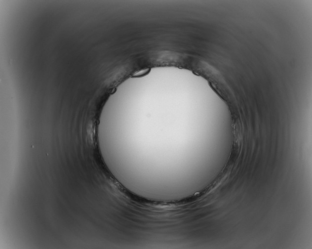 X0000088360669200705220734