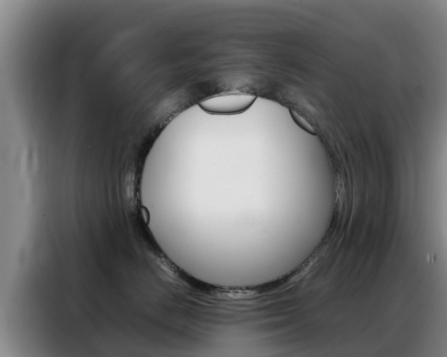 X0000088360670200705220734