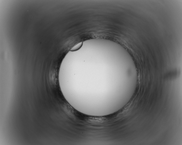 X0000088360671200705220734