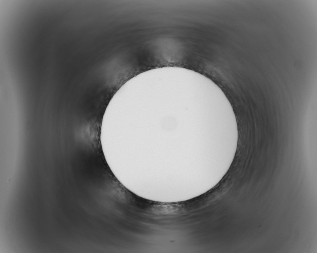 X0000088360672200705220734