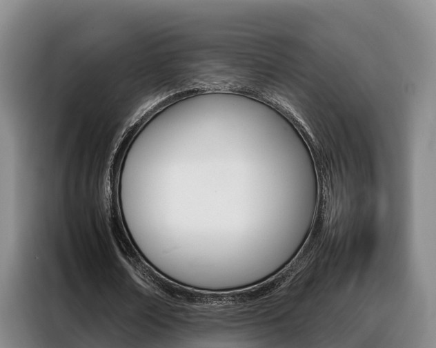X0000088360674200705220733