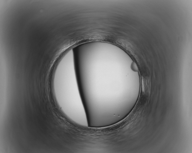 X0000088360675200705220733