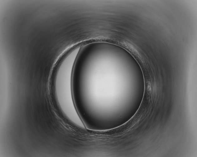 X0000088360676200705220733