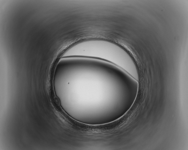 X0000088360677200705220733
