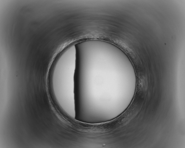X0000088360678200705220733