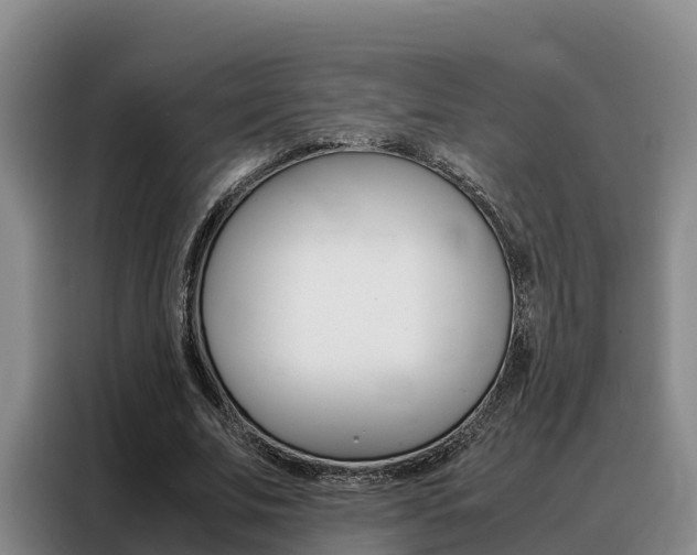 X0000088360679200705220733