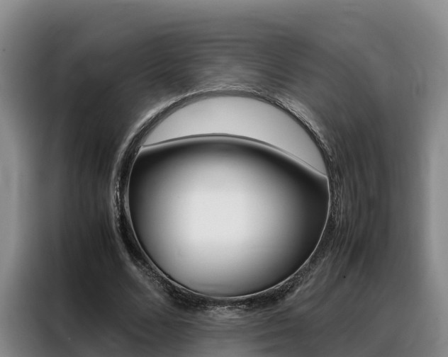 X0000088360680200705220733