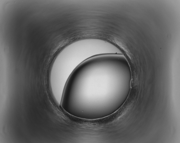 X0000088360681200705220733