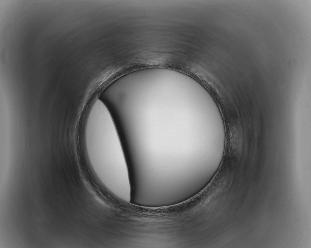 X0000088360682200705220733