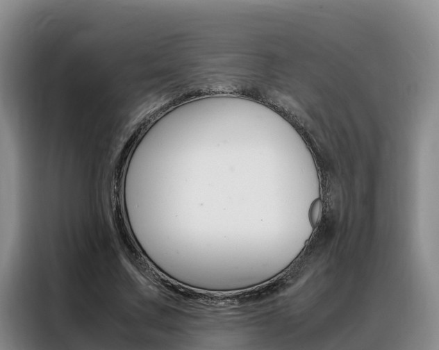 X0000088360683200705220733
