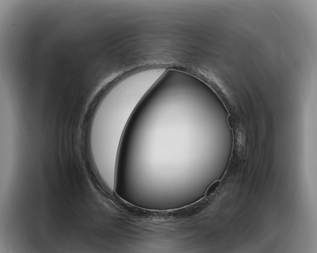 X0000088360684200705220733